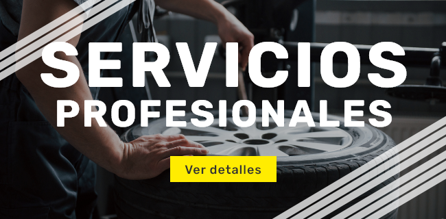 servicios profesionales